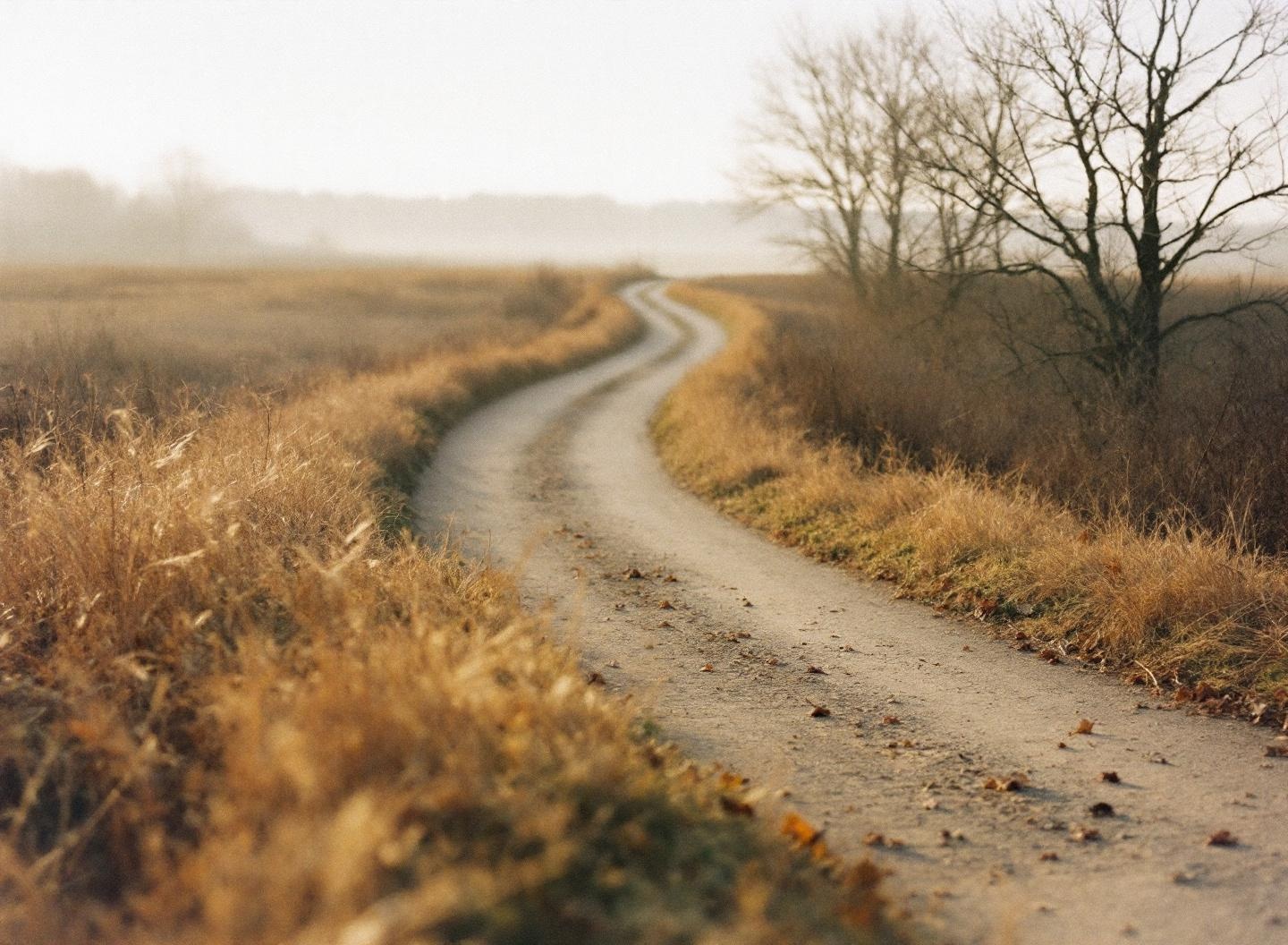 Chemin de campagne serpentant à travers des herbes sèches sous une lumière brumeuse de fin d'automne — métaphore d'une traversée biologique de 7 jours